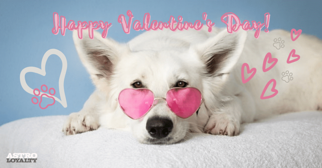 Happy Valentine’s Day from Three Dog Bakery!