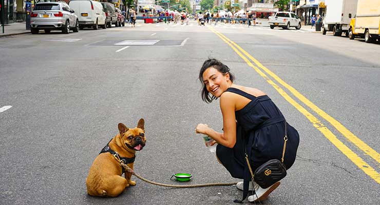 2023’s Most Pet-Friendly Cities