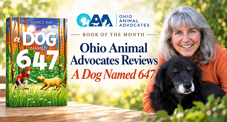 Ohio Animal Advocates Reviews A Dog Named 647